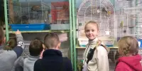 Посещение экологического центра г. Борисова