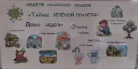 Тематическая неделя начальных классов "Тайны зелёной планеты"