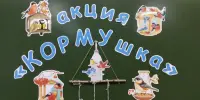 Акция "Кормушка": добро с крылышками