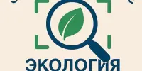 Шестой день каникул: ЭкоБум — от игры к осознанности
