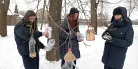 Зимующим птицам - нашу заботу