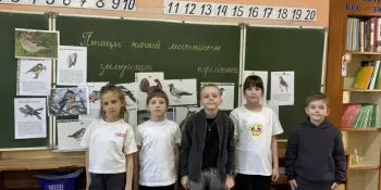 Поиск "Птиц нашей местности": детективная история второклассников