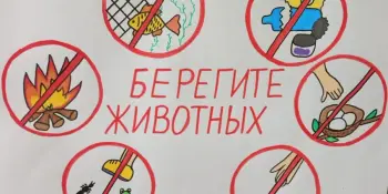 От плаката — до выступления: мой первый ЭКОпроект