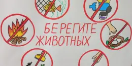 От плаката — до выступления: мой первый ЭКОпроект
